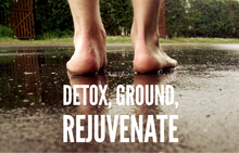 Load image into Gallery viewer, Ion Cleanse Foot Detox