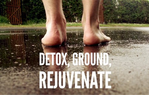 Ion Cleanse Foot Detox