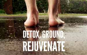 Ion Cleanse Foot Detox