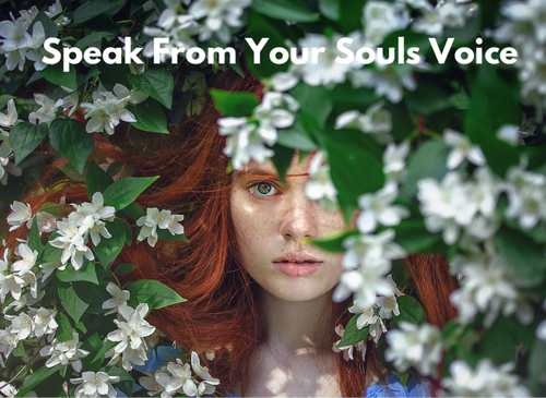 Transformational Soul Coaching